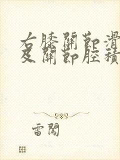 右膝关节滑膜囊及关节腔积液怎么办封面