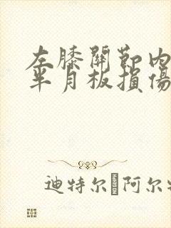 左膝关节内外侧半月板损伤二级