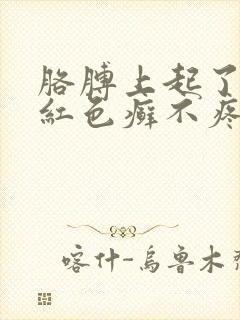 胳膊上起了一块红色癣不疼不痒