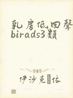 乳房低回声结节birads3类