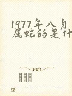 1977年八月属蛇的是什么命