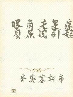 眼角老是痒是什么原因引起的封面