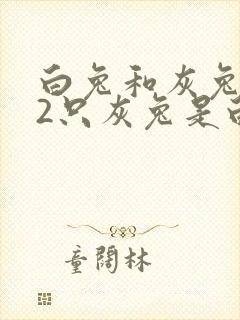 白兔和灰兔共32只灰兔是白兔的4倍还多2只