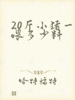 20斤小猪一天喂多少料