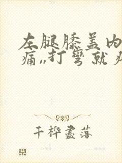 左腿膝盖内侧疼痛,,打弯就疼,为什么