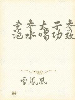 党参太子参麦冬泡水喝功效