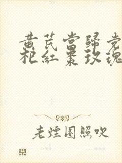 黄芪当归党参枸杞红枣玫瑰花茶的功效