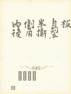 内侧半月板体部后角撕裂
