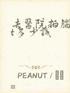 去医院拍脑部ct多少钱