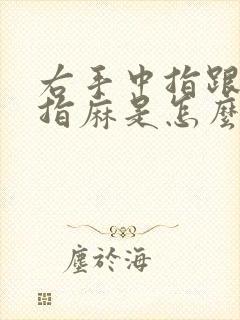 右手中指跟无名指麻是怎么回事怎么办封面