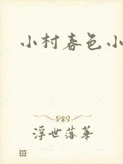 小村春色小说