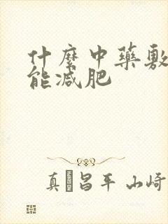 什么中药敷肚子能减肥