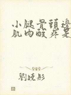 小腿骨头边上的肌肉酸疼是怎么回事