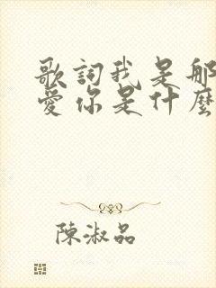 歌词我是那么的爱你是什么歌封面