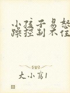 小孩子易怒易暴躁控制不住情绪什么原因