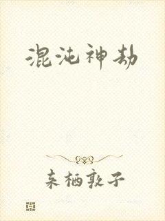 混沌神劫封面