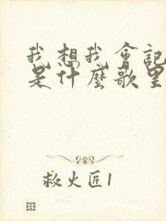 我想我会记得你是什么歌里的歌词