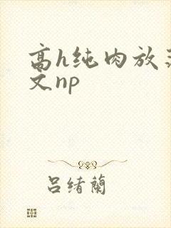 高h纯肉放荡h文np封面