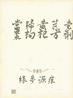 当归黄芪党参红枣枸杞方剂