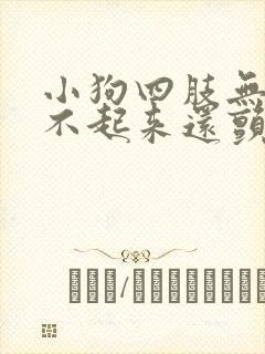 小狗四肢无力站不起来还颤抖