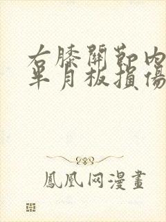 右膝关节内外侧半月板损伤