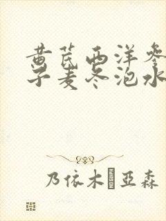 黄芪西洋参五味子麦冬泡水喝的功效封面