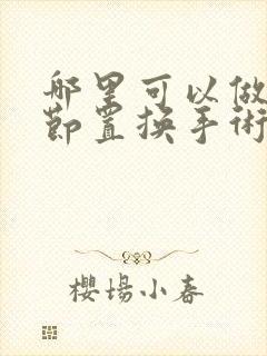 哪里可以做膝关节置换手术