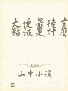 大便最后有白色粘液是什么原因