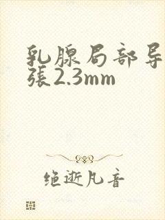 乳腺局部导管扩张2.3mm