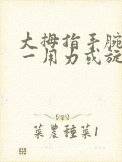 大拇指手腕关节一用力或旋转就疼怎么回事封面