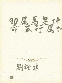 90属马是什么命 五行属什么封面