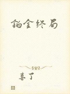 铂金终局封面