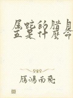属蛇的腊月二十五是什么命