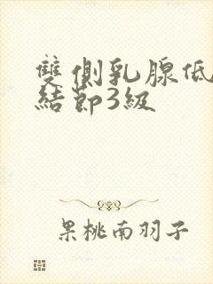双侧乳腺低回声结节3级