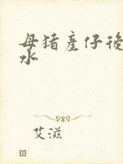 母猪产仔后没奶水