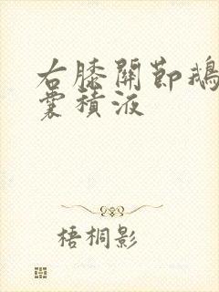 右膝关节鹅足滑囊积液封面