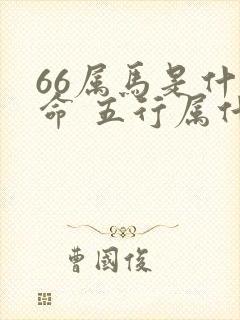 66属马是什么命 五行属什么封面
