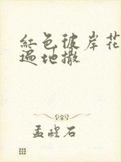 红色彼岸花花瓣遍地撒封面