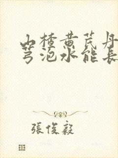 山楂黄芪丹参川芎泡水能长期喝吗