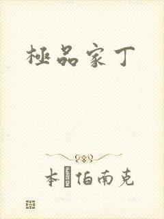极品家丁