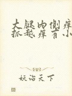 大腿内侧痒痒越抓越痒有小红疙瘩怎么缓解封面