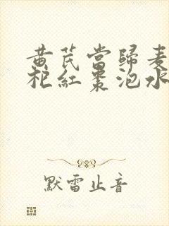 黄芪当归麦冬枸杞红枣泡水功效