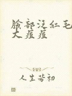 脸部泛红毛孔粗大痘痘