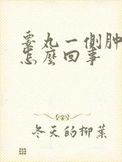 睾丸一侧肿痛是怎么回事