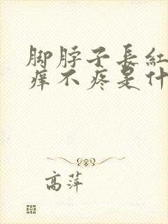 脚脖子长红点不痒不疼是什么原因