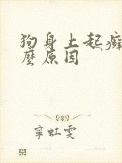 狗身上起癣是什么原因