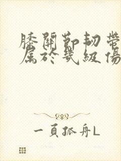膝关节韧带断了属于几级伤残