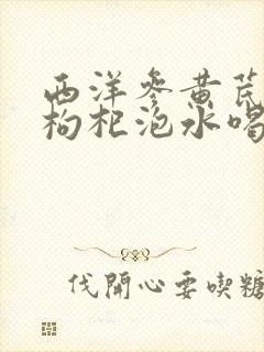 西洋参黄芪麦冬枸杞泡水喝的功效与作用