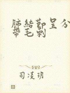 肺结节呈分叶状带毛刺