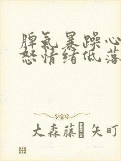 脾气暴躁心烦易怒情绪低落是怎么了封面